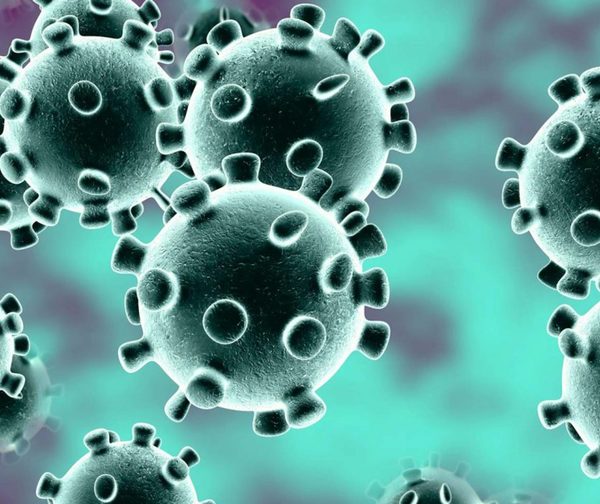OMS eleva a “alto” el nivel del riesgo internacional del coronavirus