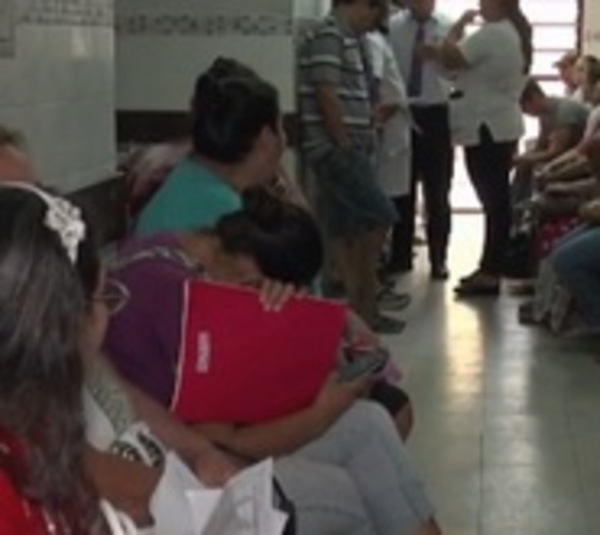Arenavirus aparece en Brasil después de 20 años - Paraguay.com