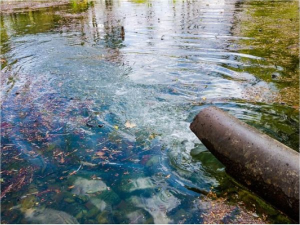 Científicos descontaminan un acuífero utilizando bacterias