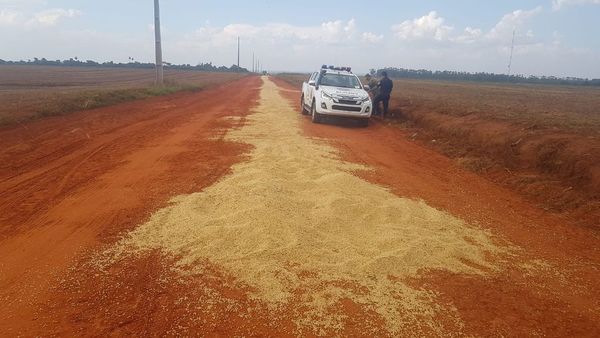 “Sin tierras” atacan y vacían camiones repletos de soja en Caaguazú