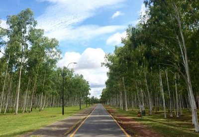 Espacios verdes colmados de naturaleza pura