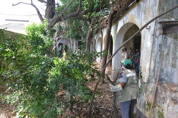 Dueños de baldíos y viviendas abandonas se exponen a 5 años de cárcel o fuerte multa | .::Agencia IP::.