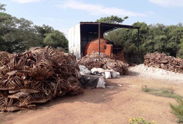 Constatan graves irregularidades en matadero luqueño •