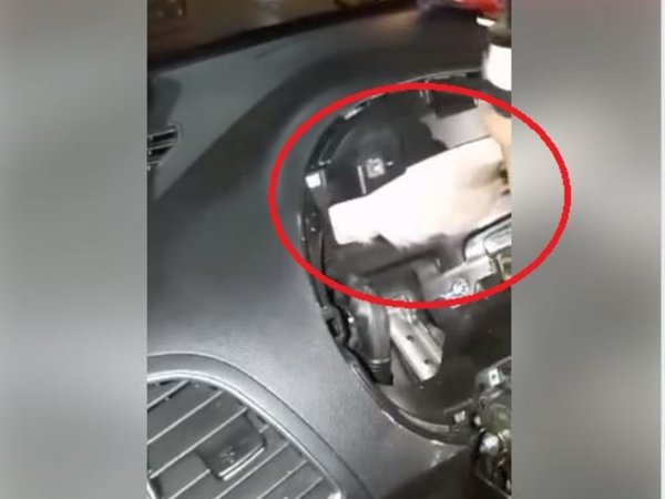 Michi quedó atrapado en el tablero de un auto