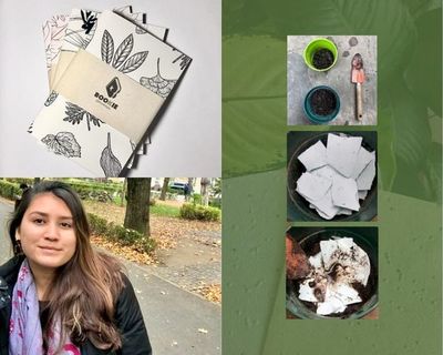 Agendas que cobran vida en plantas, un nuevo producto ecológico - Periodismo Joven - ABC Color