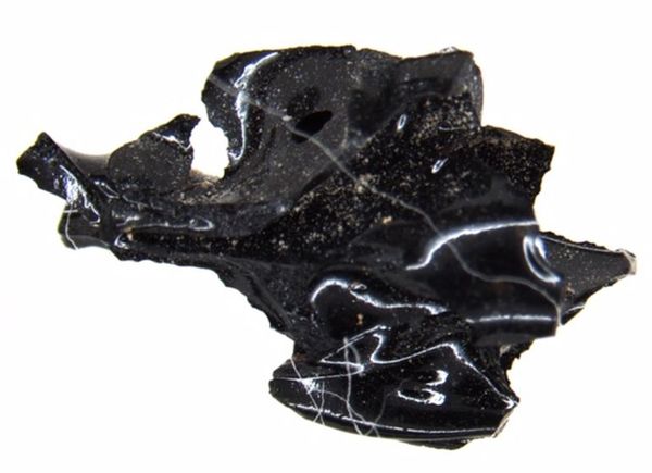 Descubren un cerebro vitrificado por erupción del Vesubio - Ciencia - ABC Color