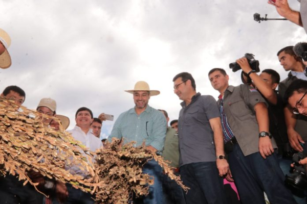 Miles de familias campesinas se beneficiarán con la cosecha del sésamo