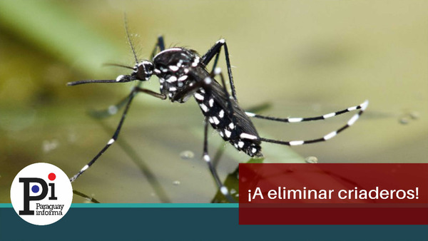 Urgen medidas ante inminente epidemia de dengue