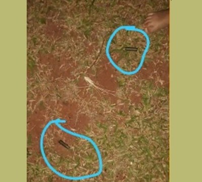“Acá nadie se muere de balde, siempre es por un ajuste de cuentas o por una deuda que no se pagó" - ADN Paraguayo