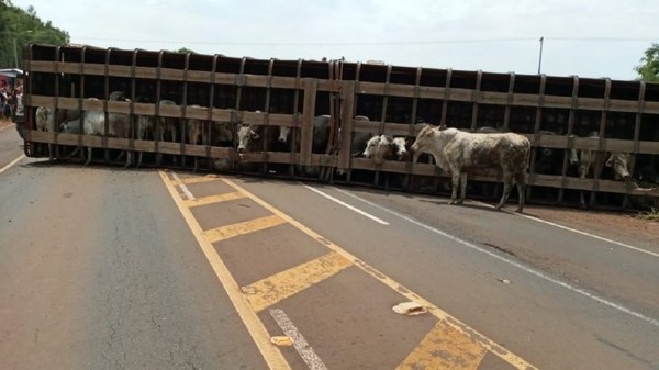 Choque entre camión y furgoneta causa varios muertos en San Pedro