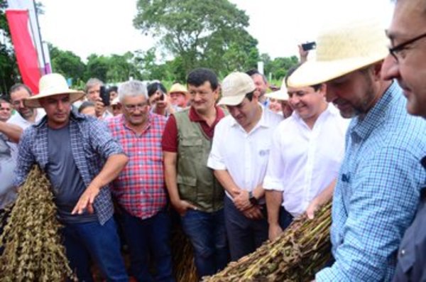 Inició cosecha de sésamo campaña 2019-2020 - .::RADIO NACIONAL::.