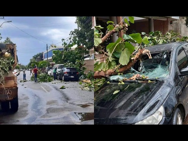 ÁRBOL CAYÓ SOBRE UN VEHÍCULO EN EL CENTRO DE ENCARNACIÓN