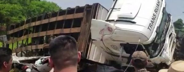Transganado aplasta minibús | Noticias Paraguay