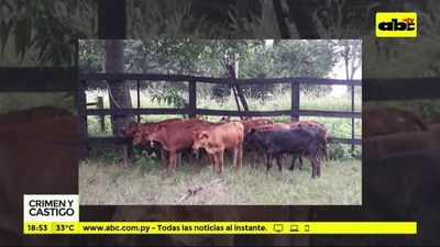 Recuperan lote de animales de Maris Llorens - Crimen y castigo - ABC Color