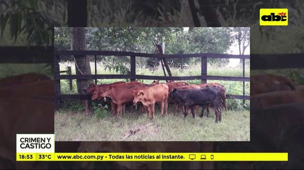 Recuperan lote de animales de Maris Llorens - Crimen y castigo - ABC Color