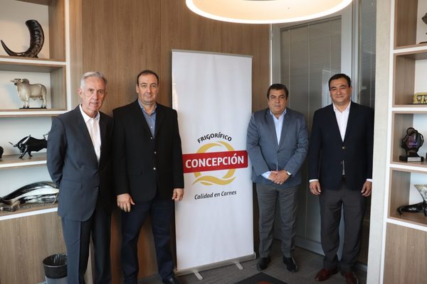 Colocan US$ 100 millones en el mercado internacional