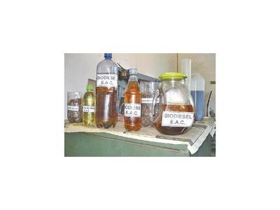 Reglamentan nueva ley de fomento de los biocombustibles
