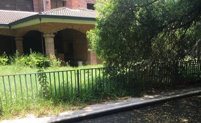 HOY / Proyecto de ley propone hasta 5 años de cárcel por no eliminar criaderos
