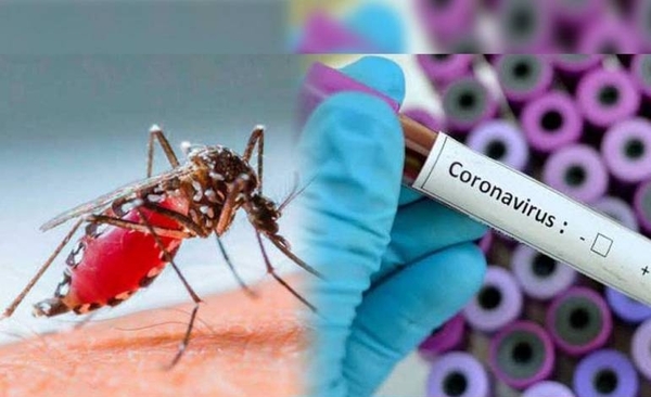 HOY / Dengue es más riesgoso que el coronavirus, advierte infectólogo