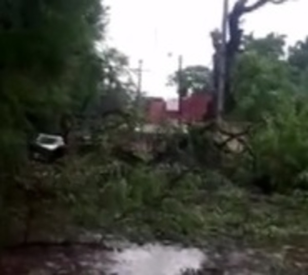 Tormenta también causó destrozos en Central y Asunción - Paraguay.com