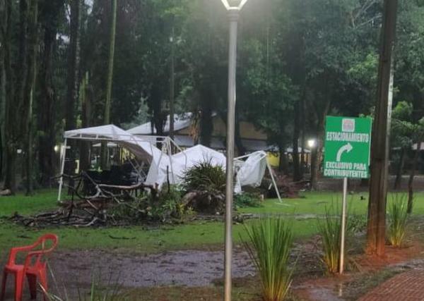 Árbol cae en municipalidad de CDE
