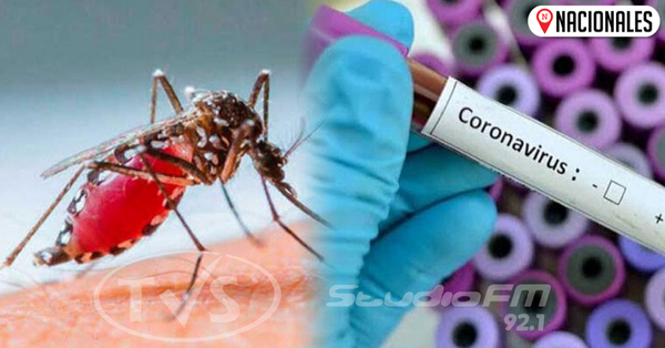 Dengue es más riesgoso que el coronavirus, advierte infectólogo