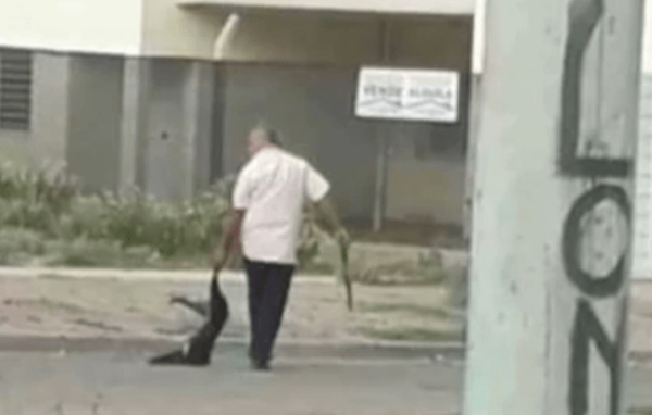 Brasileño habría matado a tiros y machetazos a su perro; está imputado - ADN Paraguayo