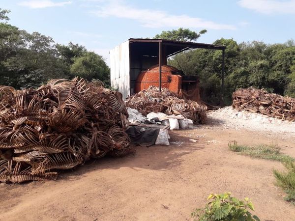 Denuncian supuestas irregularidades en matadería de vacunos y equinos - Nacionales - ABC Color