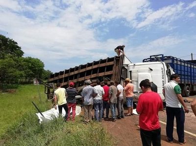 Sospechan que carga de transganado ocasionó tragedia