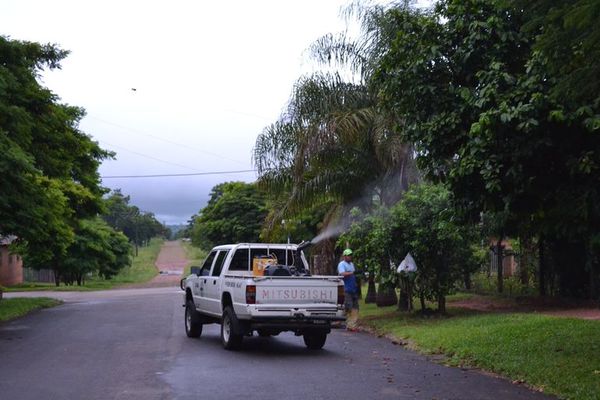 San Juan registra elevado índice de infestación larvaria - Nacionales - ABC Color