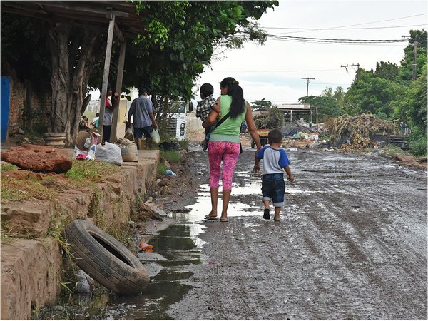 OPS y OMS insisten en eliminación de criaderos de mosquitos