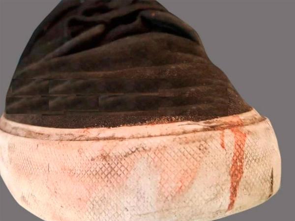 Exclusivo: la zapatilla que el rugbier asesino usó para golpear hasta la muerte a Fernando Báez Sosa - Campo 9 Noticias