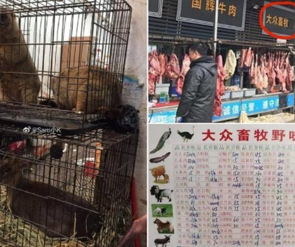 Mercado donde se originó el coronavirus no fue filmado en China