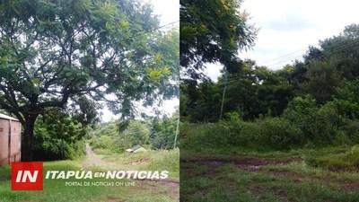 DENUNCIAN FALTA DE LIMPIEZA DE BALDÍOS EN 8 DE DICIEMBRE