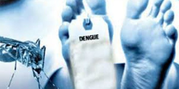 CONFIRMAN CUATRO MUERTES POR DENGUE Y ALERTAN ACELERADO AUMENTO DE NOTIFICACIONES