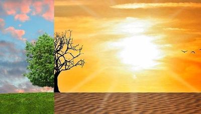 Es probable que el calentamiento global llegue a 1,5°C entre 2030 y 2050