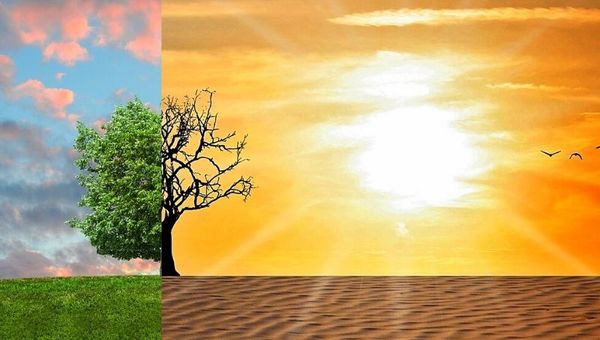 Es probable que el calentamiento global llegue a 1,5°C entre 2030 y 2050