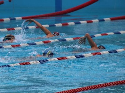 Se viene la edición XX de la tradicional Copa Olimpia de natación