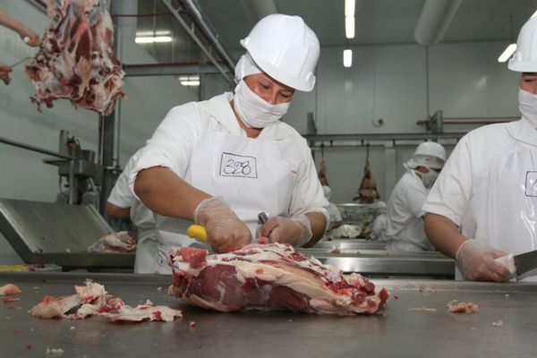 Ecuador habilita un segundo frigorífico para exportar carne bovina enfriada