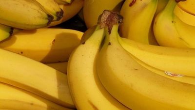 El fruto del oro: productores diversifican oferta y conquistan otro mercado regional