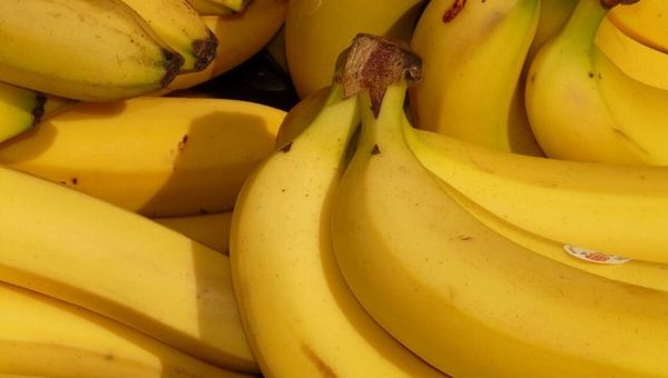 El fruto del oro: productores diversifican oferta y conquistan otro mercado regional