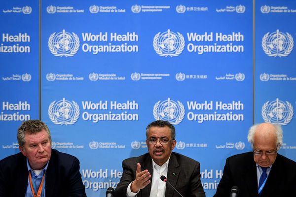 OMS declara emergencia internacional de salud