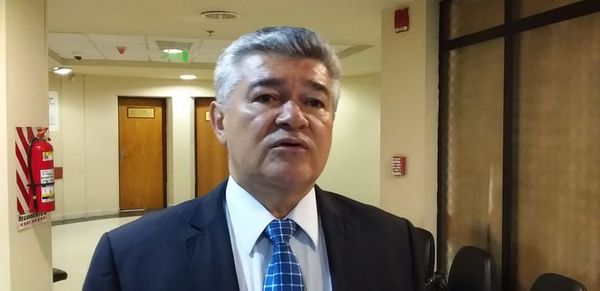 Modificación “no valdría la pena” si se excluye el control a cada candidato - Nacionales - ABC Color