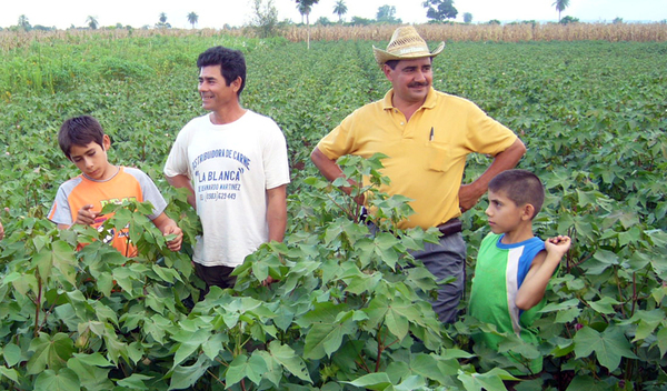 Protección Social del Gobierno pretende alcanzar al Chaco