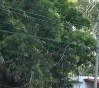 Piden respuesta a ANDE tras pasar más de 30 horas sin luz - Paraguay.com