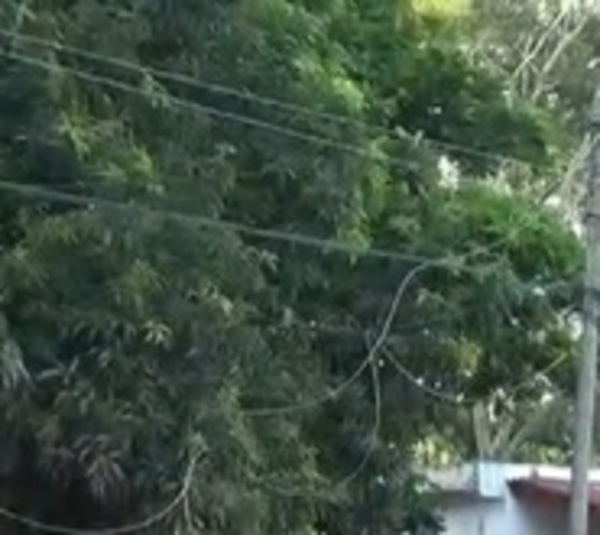 Piden respuesta a ANDE tras pasar más de 30 horas sin luz - Paraguay.com