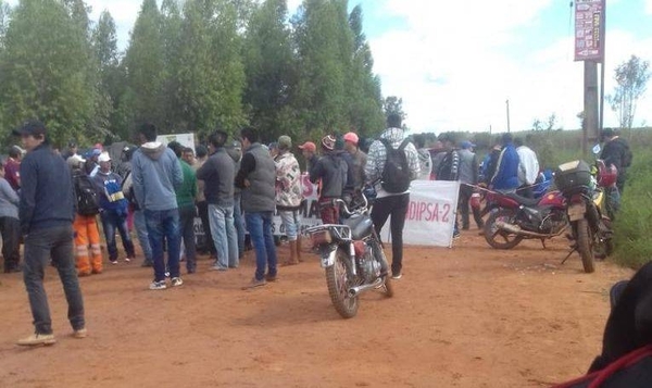 HOY / Productores de Caaguazú denuncian vandalismo de invasores