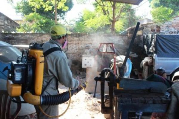 Prácticamente el 100% de las casas habitadas e inspeccionadas por Senepa cuentan con criaderos  | .::Agencia IP::.