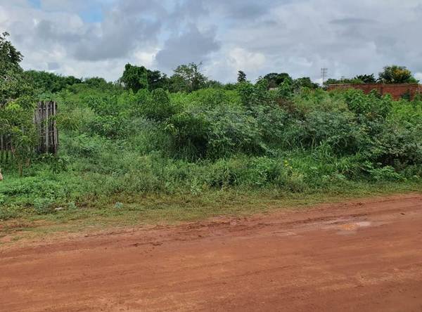 Vecinos reclaman limpieza de baldíos con verdaderas selvas | Radio Regional 660 AM