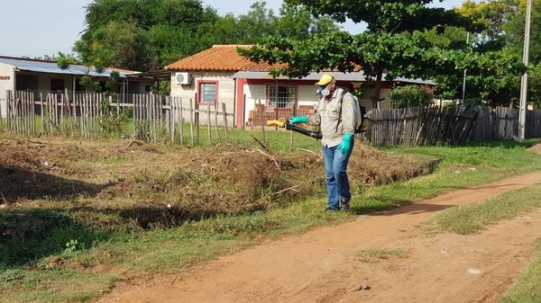 HOY / Concepción se declara en estado de emergencia por avance de plaga del dengue